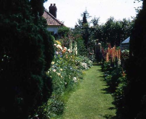 Garden path